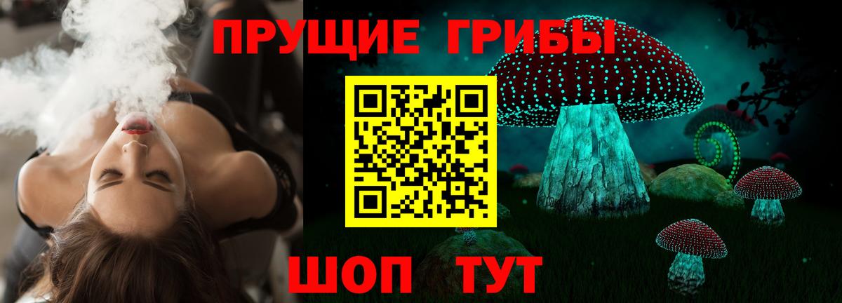 Балтийск  Псилоцибиновые грибы мицелий  Вход с VPN 